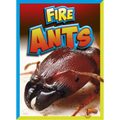 Fire Ants