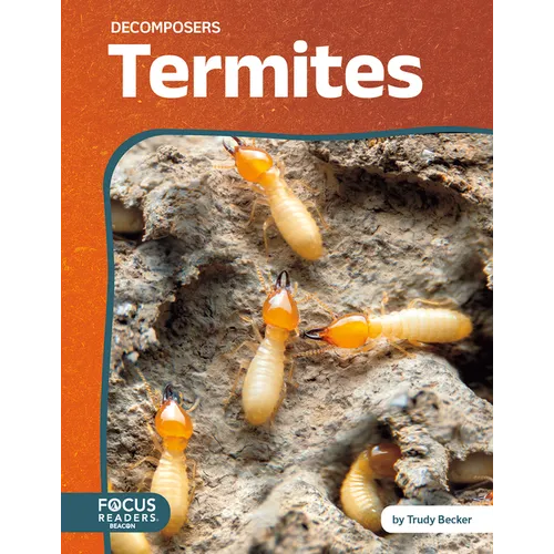 Termites