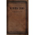 John 3: 16: A Meditation
