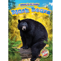 Black Bears