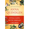 Still Life with Bread Crumbs: Still Life with Bread Crumbs: A Novel