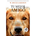 La Razón de Estar Contigo / A Dog's Purpose