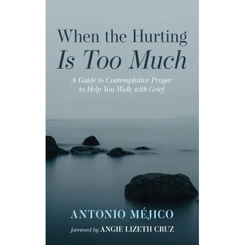 When the Hurting Is Too Much: A Guide to Contemplative Prayer to Help You Walk with Grief