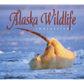 Alaska Wildlife Impressions