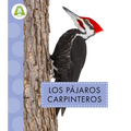 Los Pájaros Carpinteros