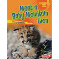 Meet a Baby Mountain Lion