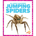 Jumping Spiders