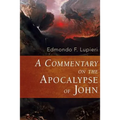 A Commentary on the Apocalypse of John