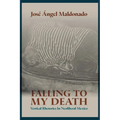 Falling to My Death: Vertical Rhetorics in Neoliberal Mexico