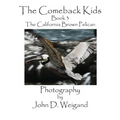 The Comeback Kids, Book 3, the California Brown Pelican