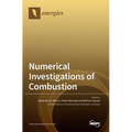 Numerical Investigations of Combustion