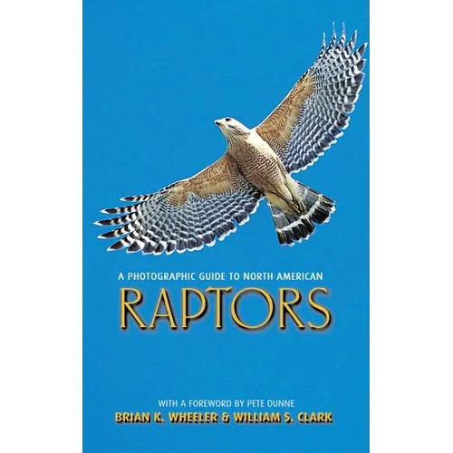 A Photographic Guide to North American Raptors