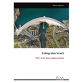 Tailings dam breach: HEC-RAS dam collapse model
