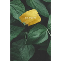 Cultivate Journal