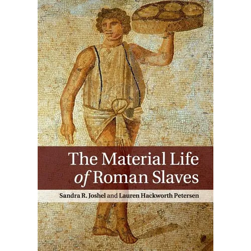 The Material Life of Roman Slaves