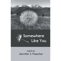 Somewhere Like You