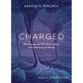 Charged: The Unexpected Role of Electricity in the Workings of Nature