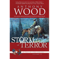 Storm of Terror: A Story of the Civil War