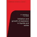 Initiation and Growth of Explosion in Liquids and Solids