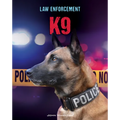 K9
