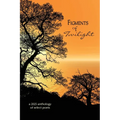 Figments of Twilight