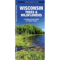Wisconsin Trees & Wildflowers: A Folding Pocket Guide to Familiar Plants