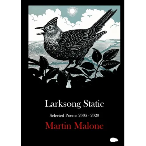 Larksong Static: Selected Poems 2005-2020