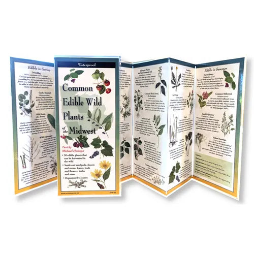 Common Wild Edible Plants of the Midwest