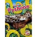 Pythons