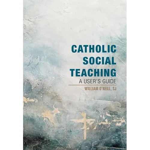 Catholic Social Teaching: A User's Guide