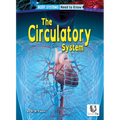 The Circulatory System