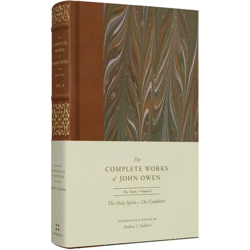 The Holy Spirit--The Comforter (Volume 8)