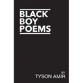 Black Boy Poems: An Account of Black Survival in America
