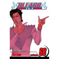 Bleach, Vol. 68