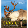 Caribou: Wind Walkers of the Northern Wilderness