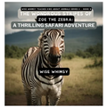 The Wondrous Stripes Of Zoe The Zebra: A Thrilling Safari Adventure