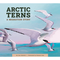 Arctic Terns: A Migration Story
