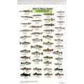Mac's Field Guides: North American Freshwater Fish