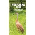 Nebraska Birds: An Introduction to Familiar Species