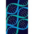 Mysterious World of the Human Genome