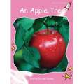 An Apple Tree