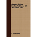 Grasses, Sedges, Rushes And Ferns Of The British Isles