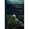 The Forests Of Tennessee