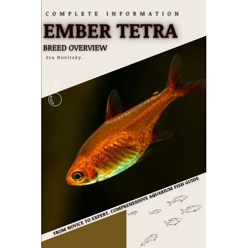 Ember Tetra: From Novice to Expert. Comprehensive Aquarium Fish Guide