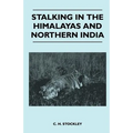 Stalking In The Himalayas And Northern India