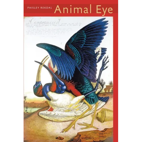 Animal Eye