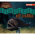Fangtooth Fish Are Strange