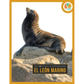 El León Marino