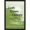 Lush Green Canopy and Place of Refuge