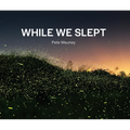 While We Slept